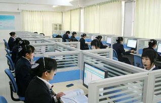和电子商务相关的专业