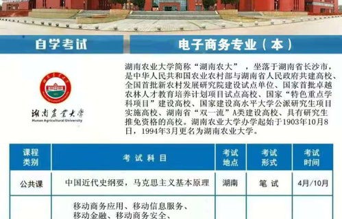 单招电子商务专业湖南