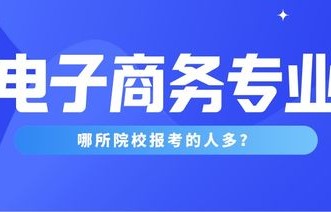 电子商务分为几个小专业
