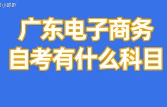 电子商务专业好考吗