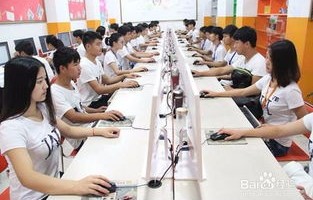 电子商务专业只要学什么