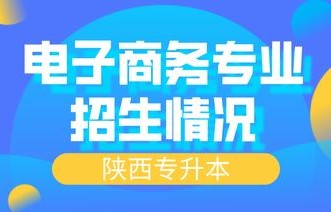 电子商务本科类专业