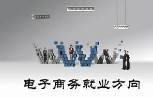 电子商务能选择的专业