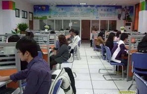 电子商务专业社会实践