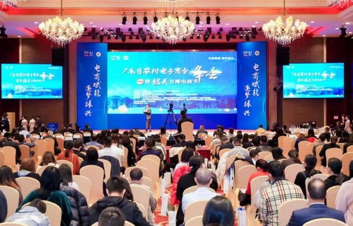 广东电子商务专业直播间