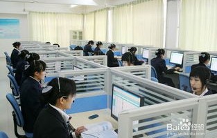 电子商务都学哪些专业
