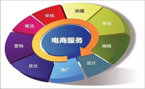 电子商务专业职位