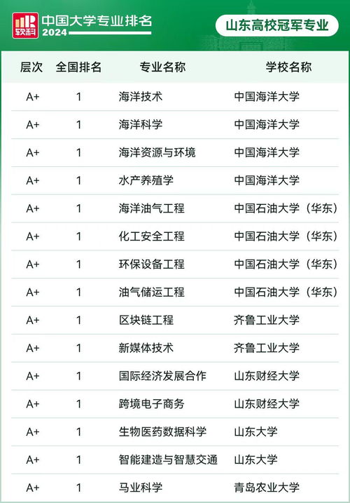 山东电子商务专业排行