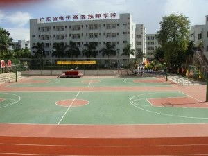 广东省电子商务专业学院