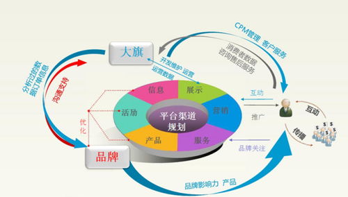 电子商务专业走向