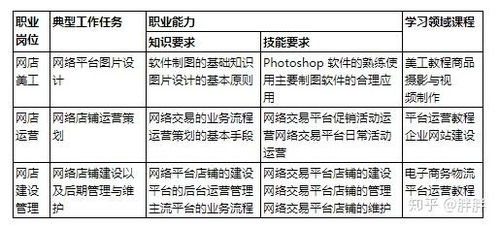 电子商务专业职责