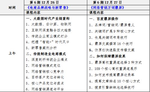 电子商务专业能力包括