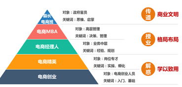 电子商务专业运营知识