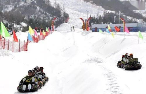 冰雪同梦，一场冬日的奇妙之旅