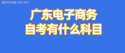 怎么自学电子商务专业