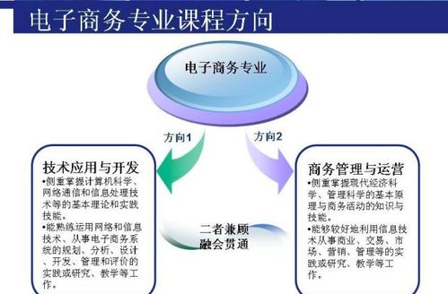 报考电子商务专业条件