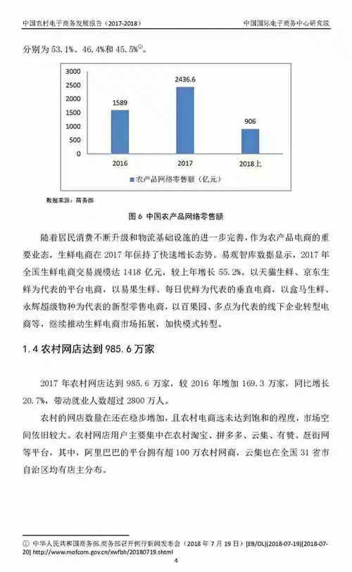 农村电子商务专业报告